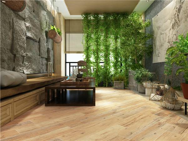 1571034732650855.jpg 158504jt1.jpg