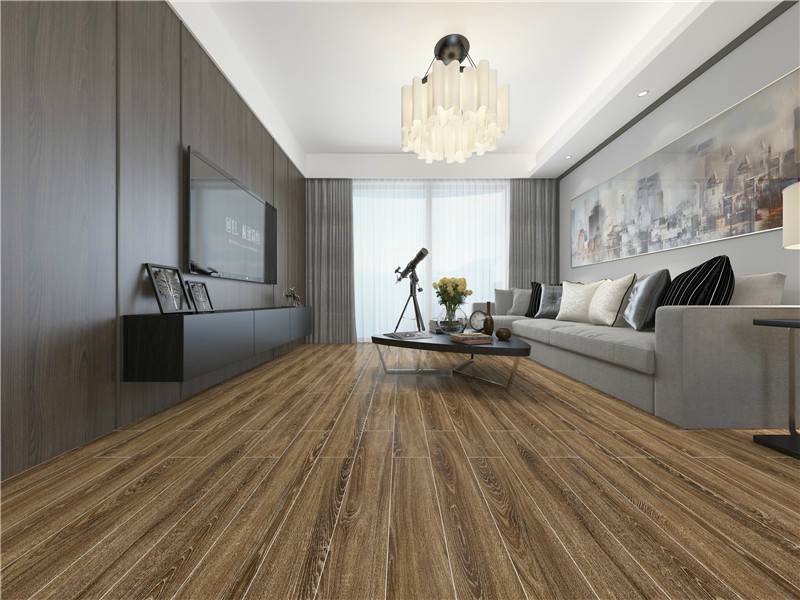 1571379276657267.jpg 15874Camera003_gamma_1.0.jpg