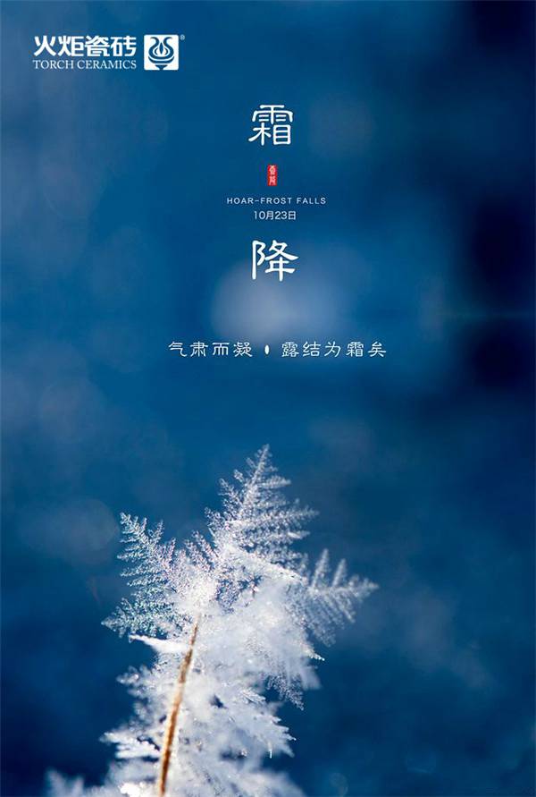 1571883011110324.jpg 181109968441417518db08ee338ed145eabedfa6359aa4-YEUvj2_fw658.jpg