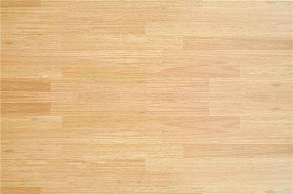 1571985546185768.jpg 258272534_medium.jpg