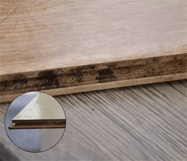 1571985909657138.png 6.png