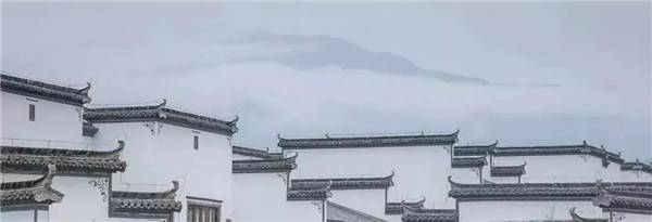 1572677713137099.jpg 640 (3).jpg