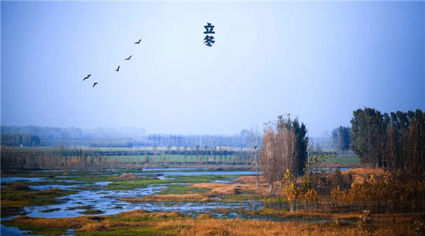 1573201374119718.png 100.png